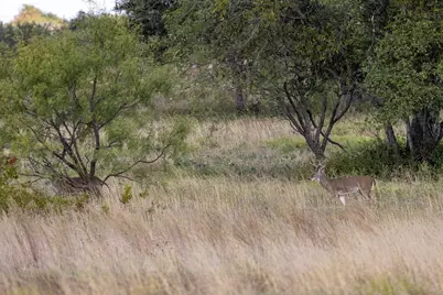 Tbd Augustus Lane, Dublin, TX 76446 - Photo 12