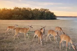 12428 Eagle Narrows Dr, Fort Worth, TX 76179 - Photo 36