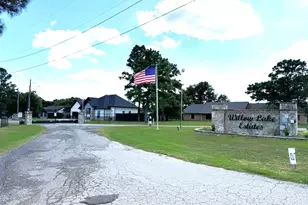 409 Willow, Wills Point, TX 75169 - Photo 40