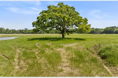 Lot A County Road 3324, Pittsburg, TX 75686 - Photo 1