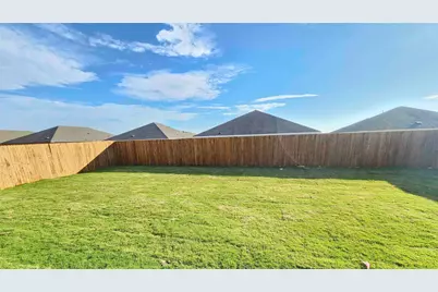 507 Silver Birch Drive, Josephine, TX 75173 - Photo 16