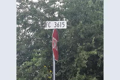 Tbd County Road 3615, Honey Grove, TX 75446 - Photo 8