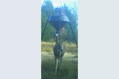 9515 County Road 114, Kaufman, TX 75142 - Photo 8