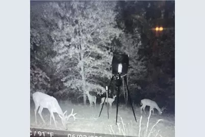 9515 County Road 114, Kaufman, TX 75142 - Photo 10