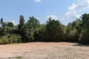 0 County Road 305, Frankston, TX 75763 - Photo 12