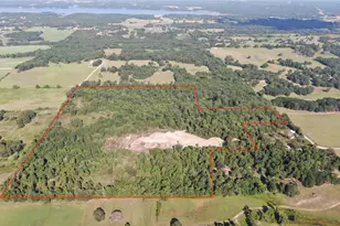 0 County Road 305, Frankston, TX 75763 - Photo 2