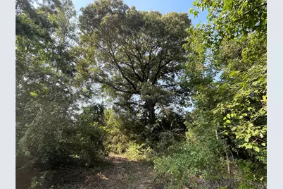 0 County Road 305, Frankston, TX 75763 - Photo 34