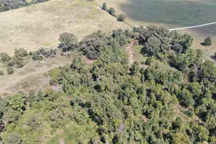 0 County Road 305, Frankston, TX 75763 - Photo 4