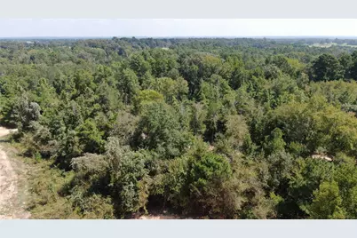 0 County Road 305, Frankston, TX 75763 - Photo 10