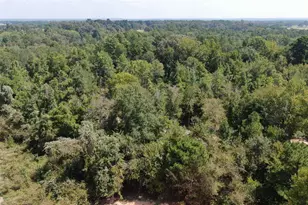 0 County Road 305, Frankston, TX 75763 - Photo 10