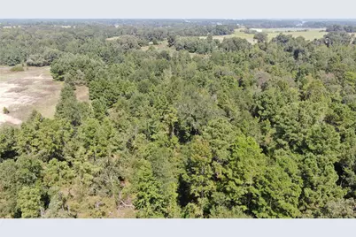 0 County Road 305, Frankston, TX 75763 - Photo 6