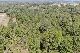 0 County Road 305, Frankston, TX 75763 - Photo 6