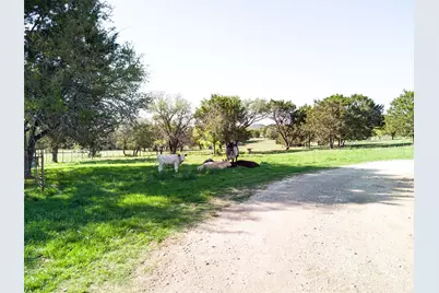 690-A County Road 4707, Kempner, TX 76539 - Photo 36