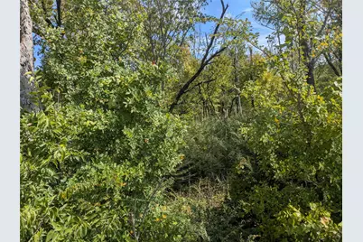 1201 W Fm 1382 Road, Cedar Hill, TX 75104 - Photo 2