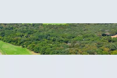 8024 County Road 204 Road, Grandview, TX 76050 - Photo 6