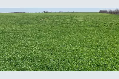 Tbd Boren Road, Collinsville, TX 76233 - Photo 4