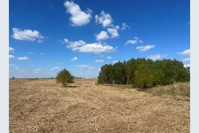 6148 County Road 302, Grandview, TX 76050 - Photo 2