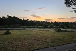 5211 VZ County Rd 1222, Grand Saline, TX 75140 - Photo 4