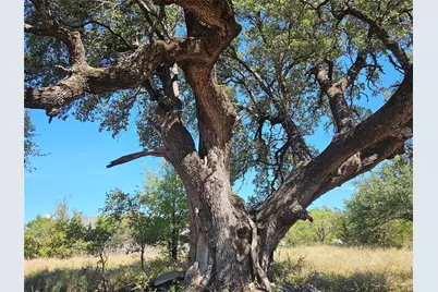 475 Overlook Ridge, Bluff Dale, TX 76433 - Photo 6