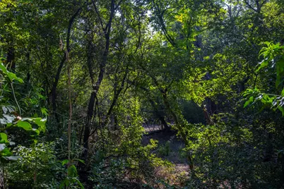 Tbd Bowie Road, Weatherford, TX 76088 - Photo 14