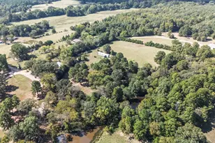 853 County Rd 2730, Pittsburg, TX 75686 - Photo 36