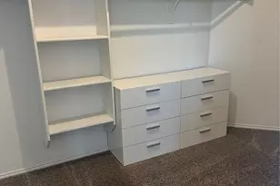 11805 Kurth Dr, Frisco, TX 75036 - Photo 12