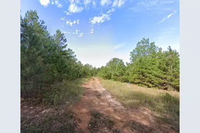 0 Jewell Gooch Road, Marshall, TX 75670 - Photo 4