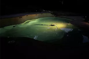 6505 Parkway Ave, North Richland Hills, TX 76182 - Photo 34