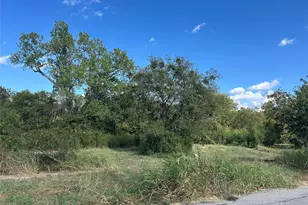 303 Inez Hardy Way, Grandview, TX 76050 - Photo 1