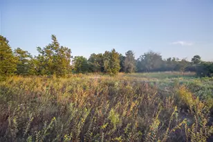 10325 199 Hwy, Perrin, TX 76486 - Photo 24