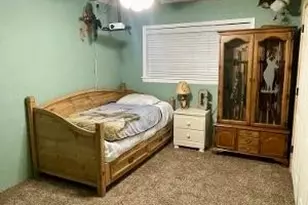 1124 Co Rd 2351, Mineola, TX 75773 - Photo 14