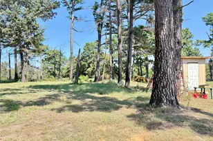 1468 Vz County Rd 4207, Canton, TX 75103 - Photo 26