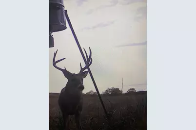 1685 Rocky Mound Road, Graham, TX 76450 - Photo 38