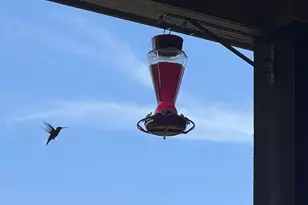 44 Mirror Lakes Ct, Gunter, TX 75058 - Photo 36