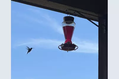 44 Mirror Lakes Court, Gunter, TX 75058 - Photo 36