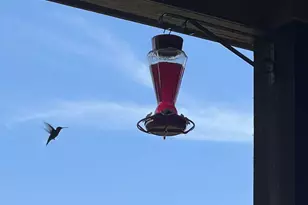 44 Mirror Lakes Ct, Gunter, TX 75058 - Photo 36