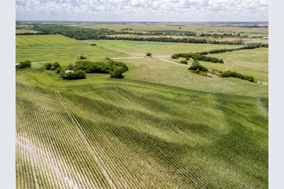 Tract 4 County Rd 3307, Hubbard, TX 76648 - Photo 10