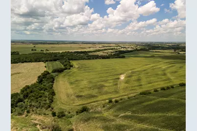 11 Acres County Rd 3150, Hubbard, TX 76648 - Photo 10