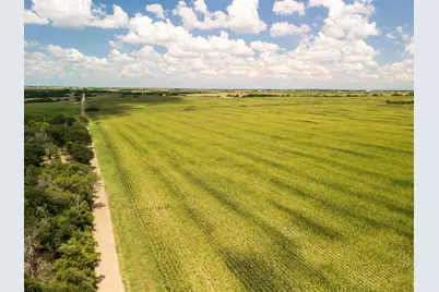 11 Acres County Rd 3150, Hubbard, TX 76648 - Photo 16