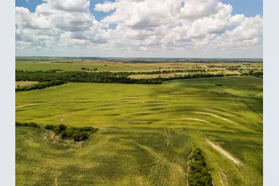 11 Acres County Rd 3150, Hubbard, TX 76648 - Photo 8