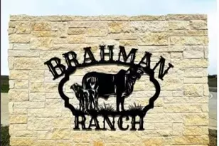 212 Brahman St, Venus, TX 76084 - Photo 1