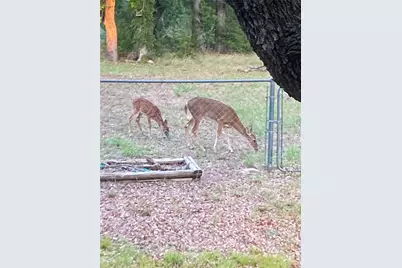 801 Highway 2214, Eastland, TX 76448 - Photo 38