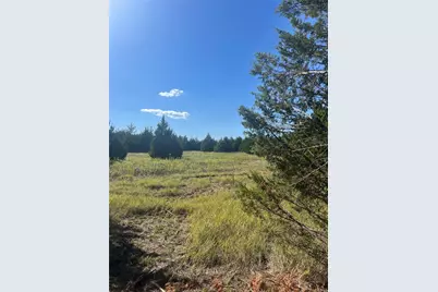 Tbd Rochelle Cannon Road, Whitewright, TX 75491 - Photo 8