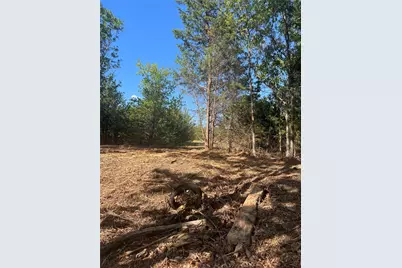 Tbd Rochelle Cannon Road, Whitewright, TX 75491 - Photo 12