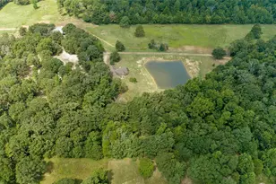 253 Co Rd 2412, Winnsboro, TX 75471 - Photo 38