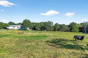 437 Co Rd 292, Collinsville, TX 76233 - Photo 10