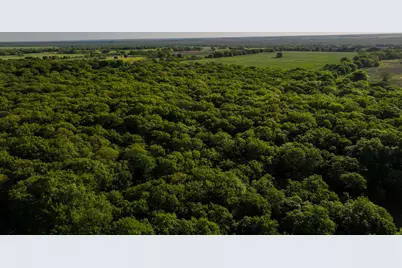 Tbd Fm 103, Nocona, TX 76255 - Photo 10