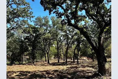 7347 Remington Road, Mansfield, TX 76063 - Photo 6