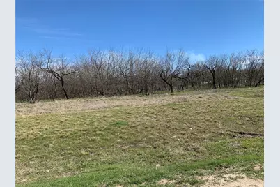 518 Sleepy Meadow Drive, Bridgeport, TX 76426 - Photo 10