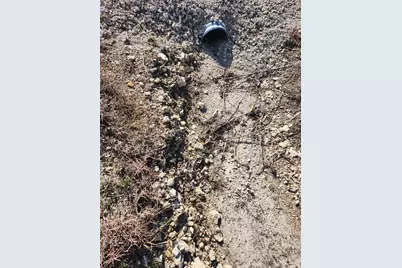 1005 Overhill Drive, Cleburne, TX 76033 - Photo 16